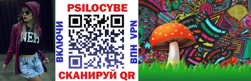 Псилоцибиновые грибы Magic Shrooms  наркотики  Махачкала 